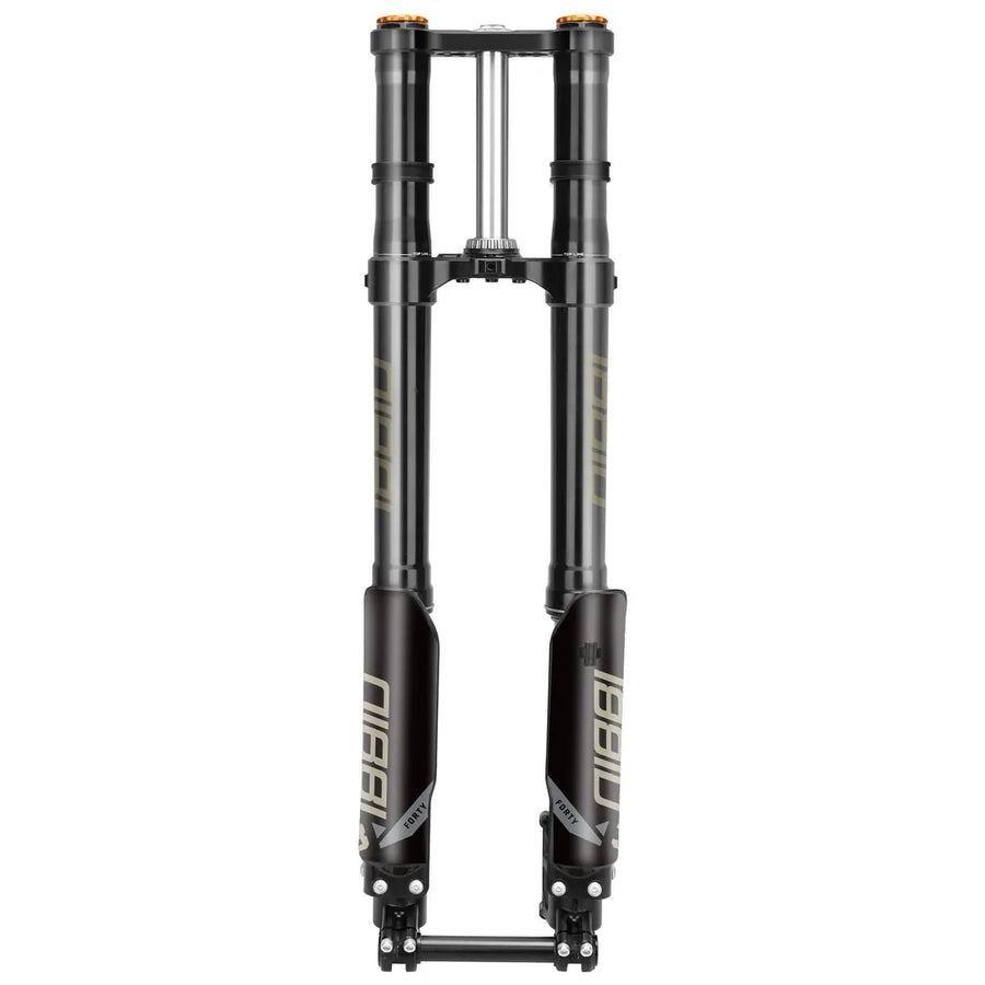 Nibbi 38mm Dual Spring Fork