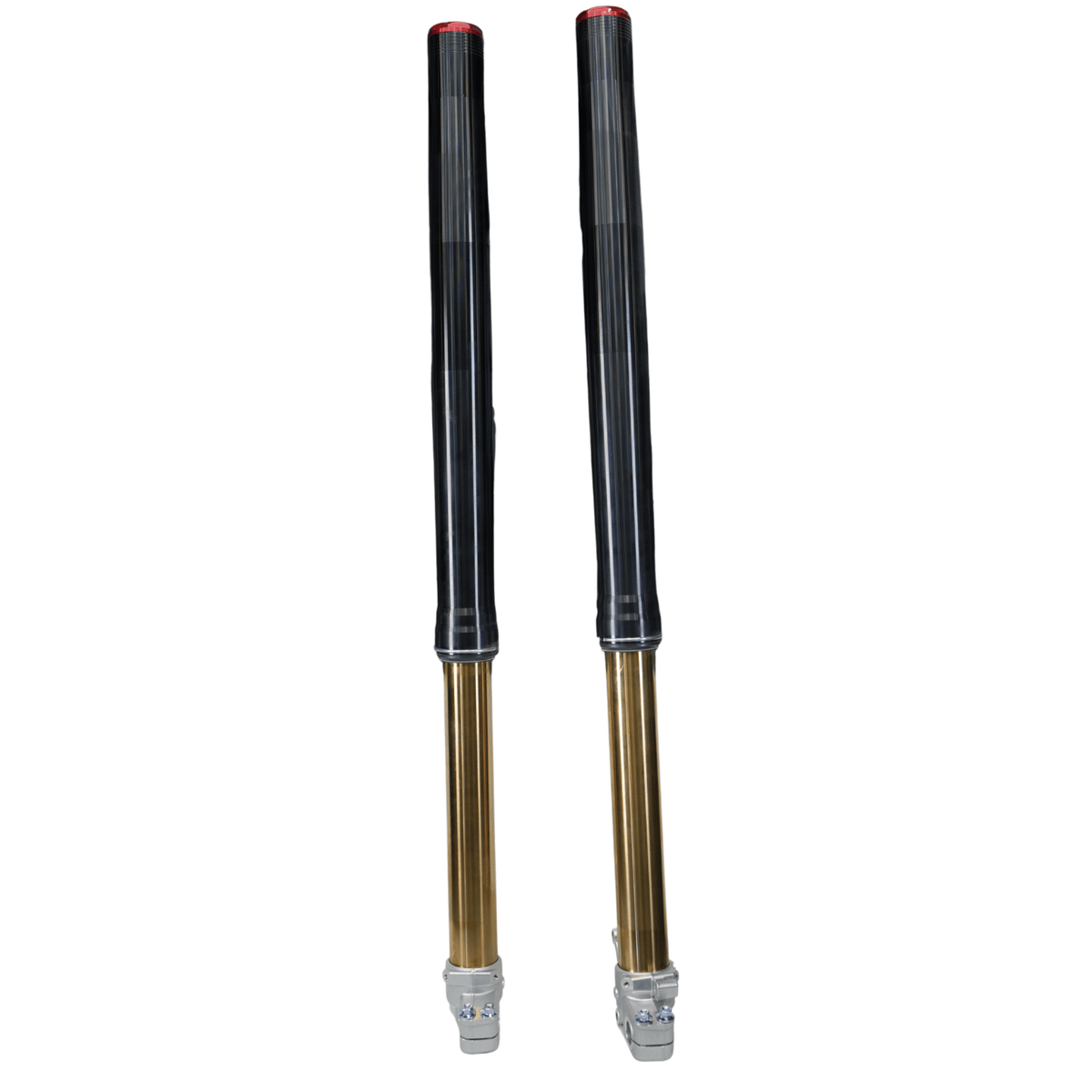 AL EXE Front Forks (Arctic Leopard OEM)