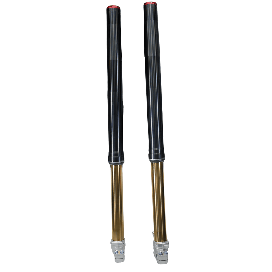 AL EXE Front Forks (Arctic Leopard OEM)