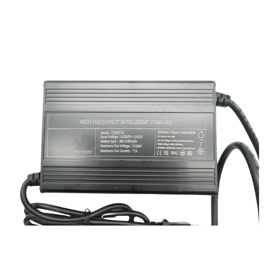 Arctic Leopard EX Charger