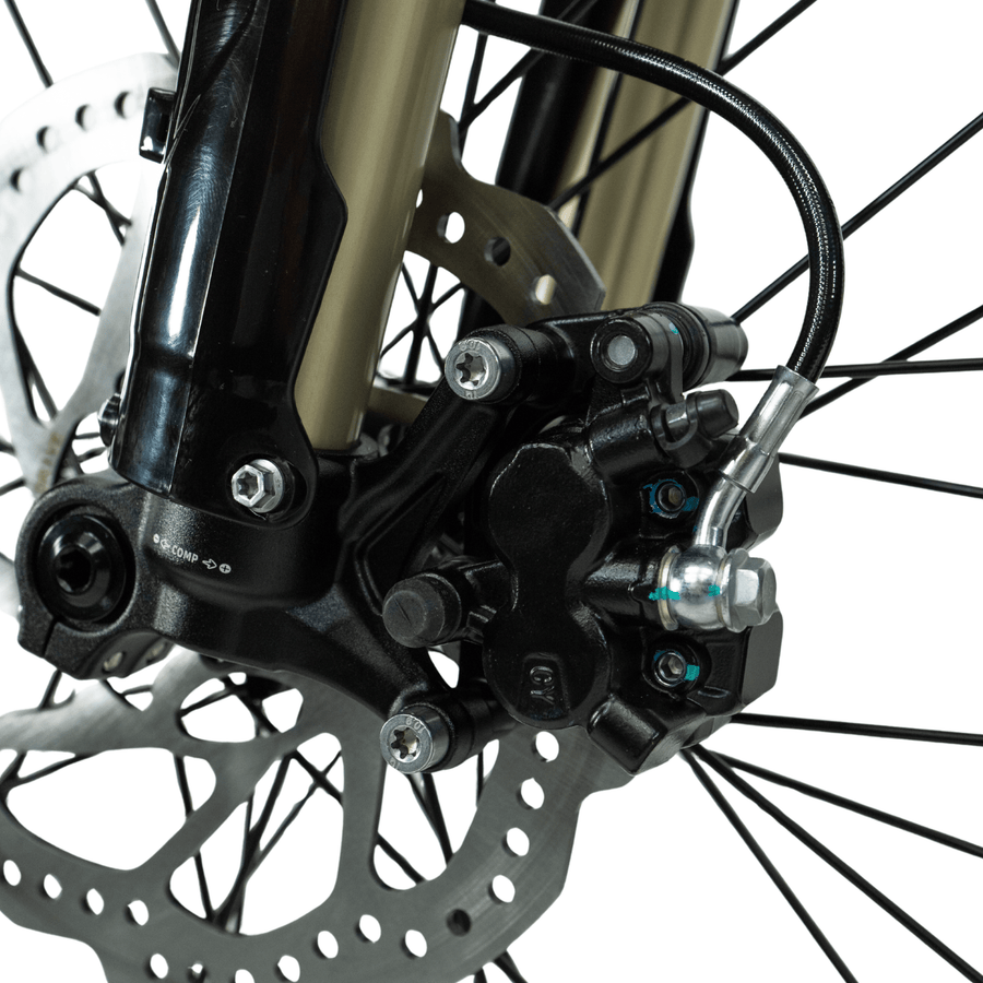 Arctic Leopard XE PRO R
