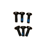Arctic Leopard XE Pro S and R/XF Brake Disc Bolts- Set of 6 (AL OEM)