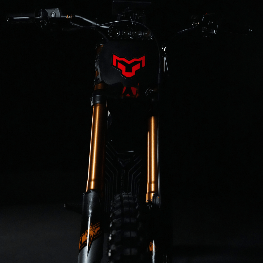 Arctic Leopard XF electric dirt bike — view 19