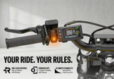 HeyBike Villain LED display and reverse assist