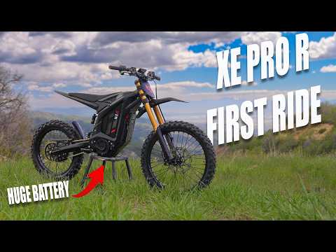 Arctic Leopard XE Pro R — full review