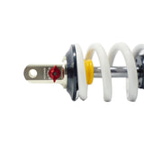 RFloXa RAF55RV